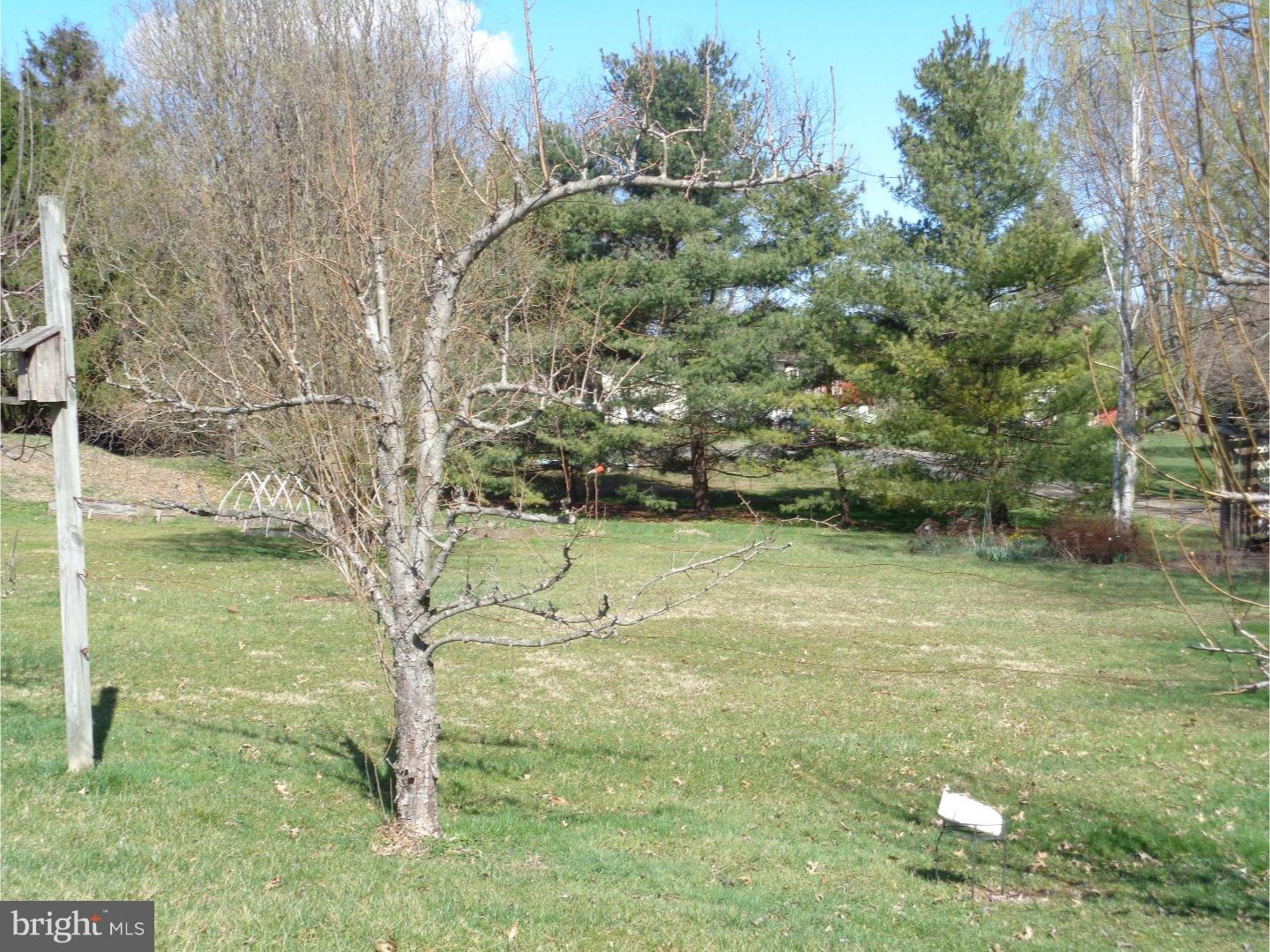 195 Mercer Mill Road Landenberg, PA 19350 - Photo 4 of 16 Back Yard