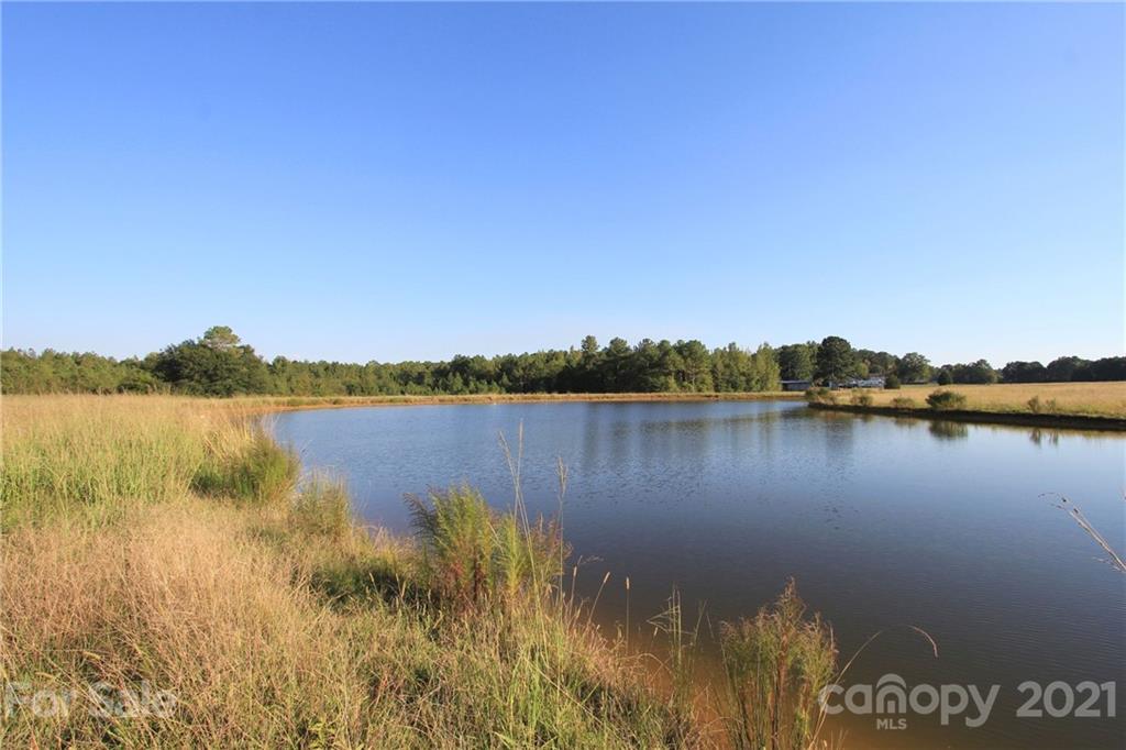 275 Allen Pond Road Wadesboro, NC 28170 - Photo 3 of 46 Gallery Image 3