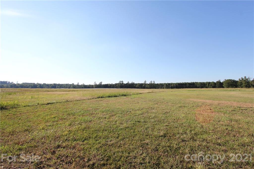 275 Allen Pond Road Wadesboro, NC 28170 - Photo 35 of 46 Gallery Image 35