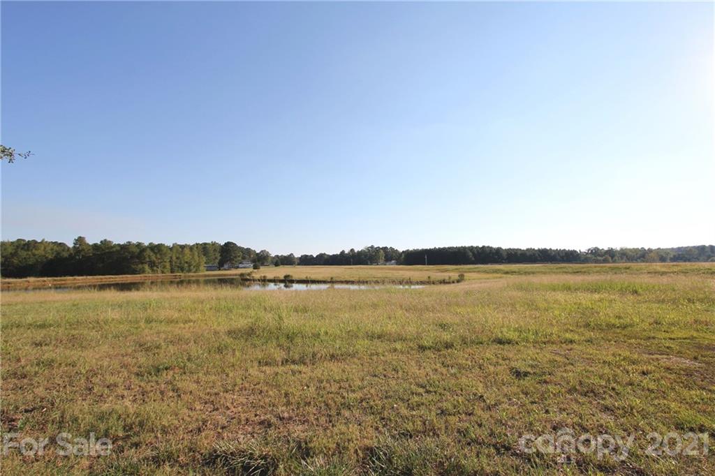 275 Allen Pond Road Wadesboro, NC 28170 - Photo 36 of 46 Gallery Image 36