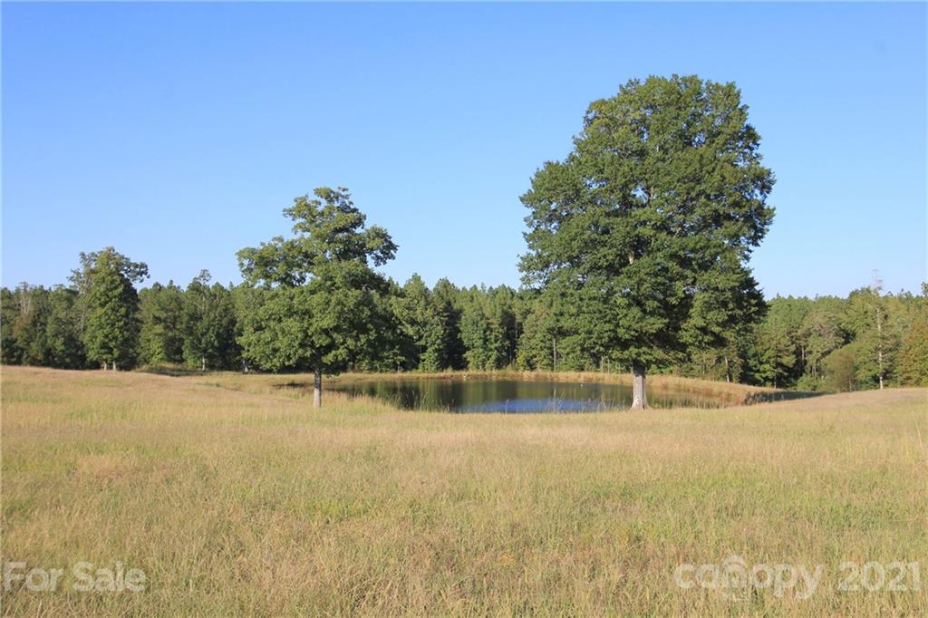 275 Allen Pond Road Wadesboro, NC 28170 - Photo 37 of 46 Gallery Image 37