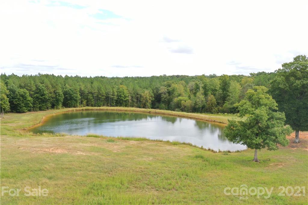 275 Allen Pond Road Wadesboro, NC 28170 - Photo 4 of 46 Gallery Image 4