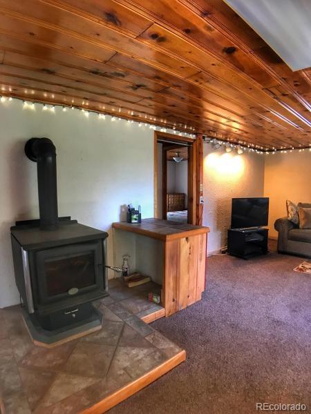 10790 Arnold Lane Rye, CO 81069 - Photo 16 of 35