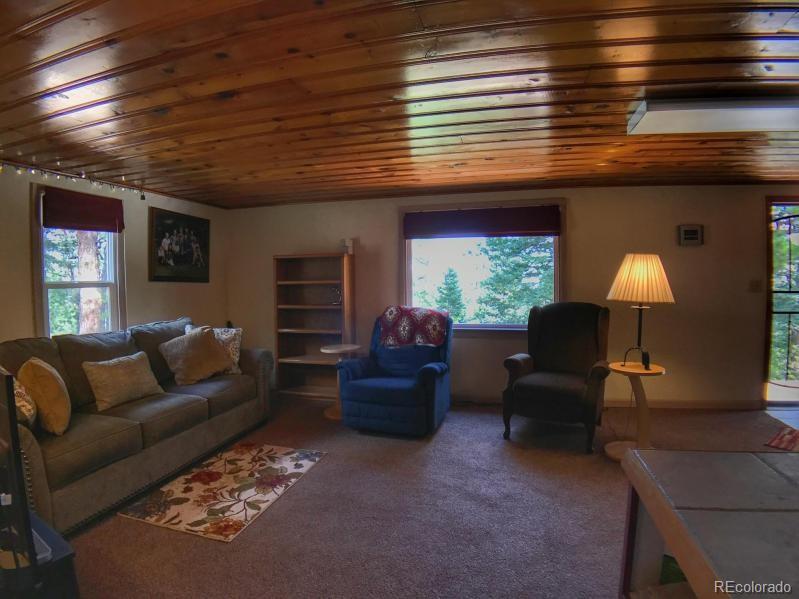 10790 Arnold Lane Rye, CO 81069 - Photo 17 of 35