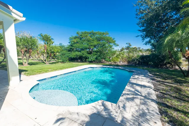a view of a backyard with large trees