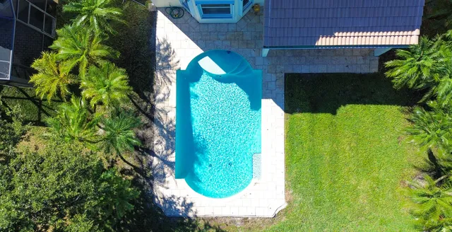 a view of a yard with plants