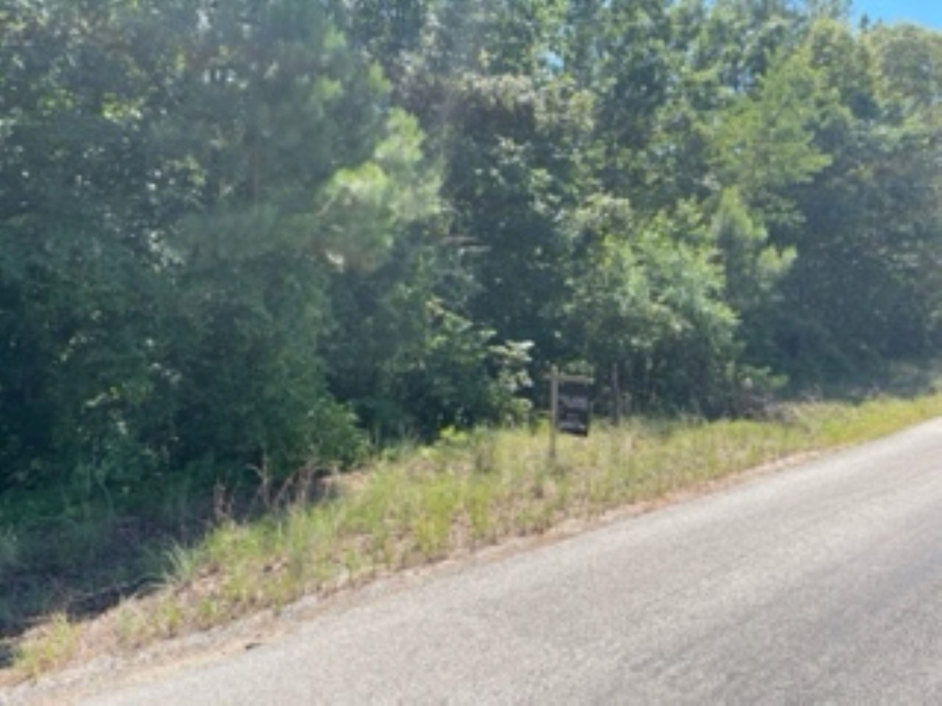 0 Mt Pinson Road Jackson, TN 38301 - Photo 3 of 6 a view of a yard with a tree