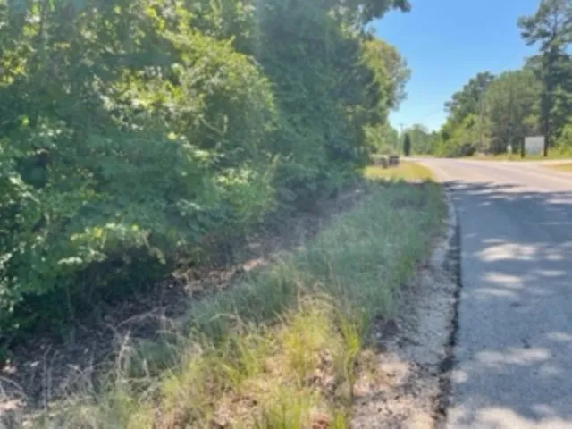 a view of a yard with a tree