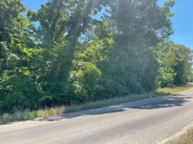 a view of a road with a trees