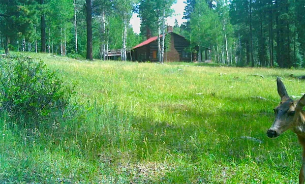 $2,000,000 | San Gabriel San Gabriel Del Rito, Canjilon, NM 87515