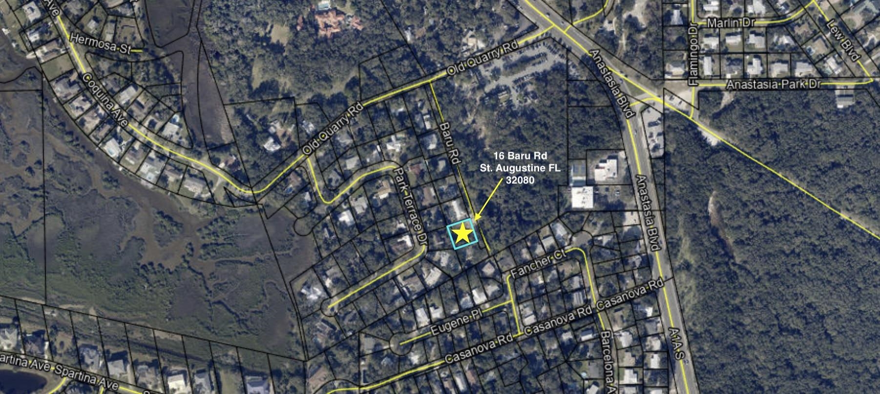 16 A Baru Road St. Augustine, FL 32080 - Photo 2 of 2 a picture of tree