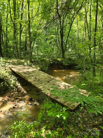 a view of a large tree in a yard