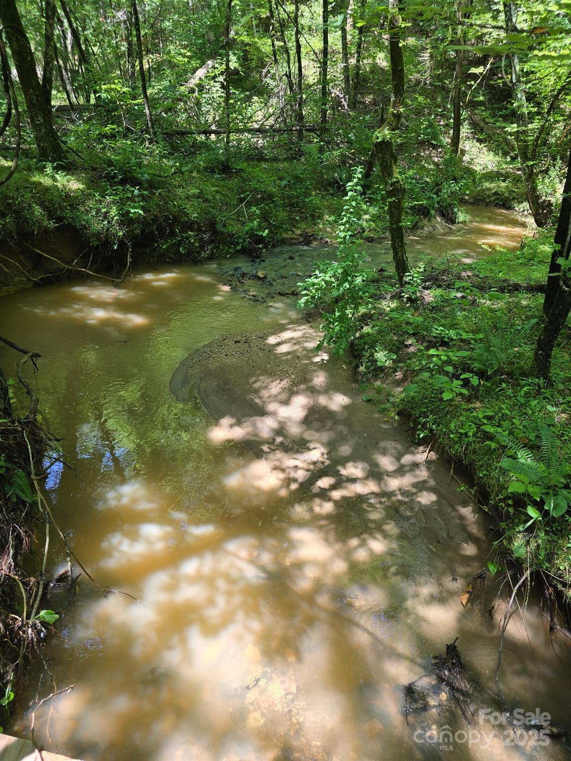 0 Frog Creek Road Rutherfordton, NC 28139 - Photo 5 of 7