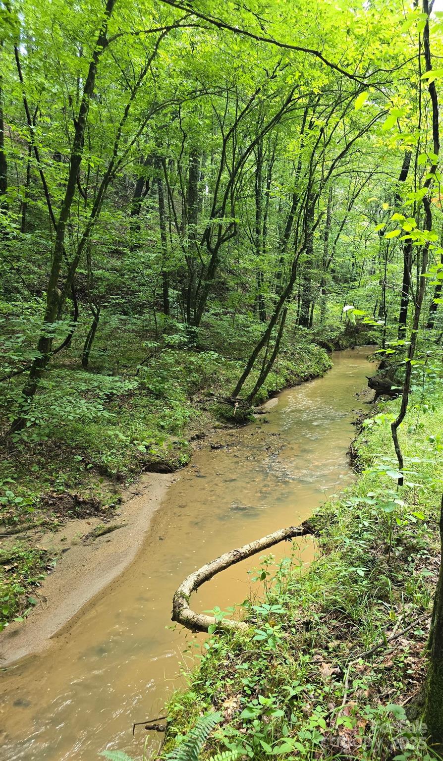 0 Frog Creek Road Rutherfordton, NC 28139 - Photo 6 of 7 a view of an outdoor space