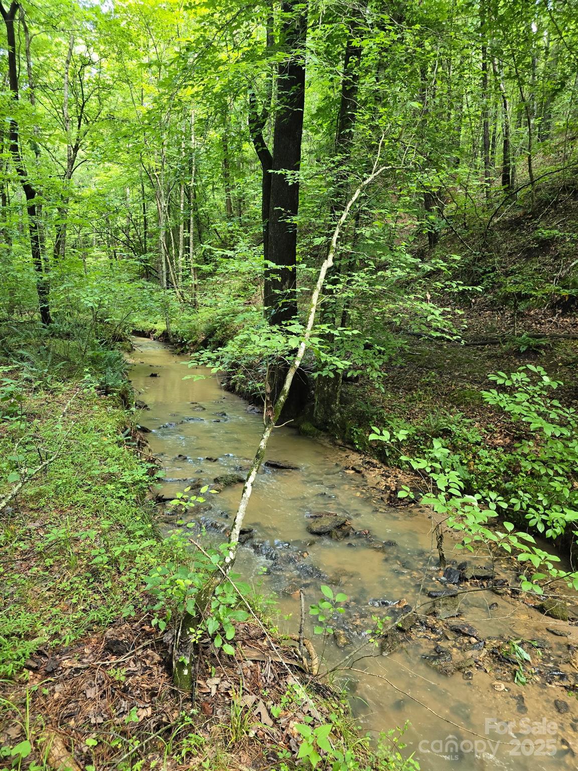 0 Frog Creek Road Rutherfordton, NC 28139 - Photo 7 of 7 a backyard of a house with lots of green space