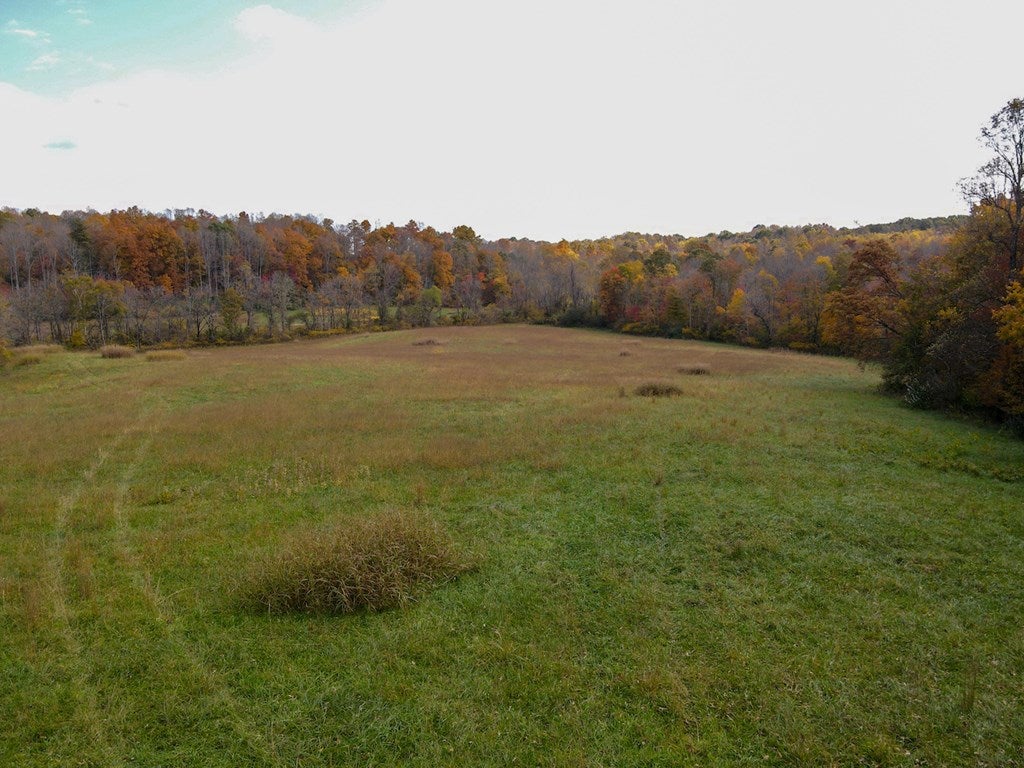 Hardin Reynolds Road Critz, VA 24082 - Photo 29 of 30 Gallery Image 29