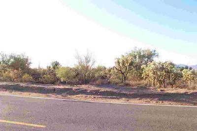 5251 West Oasis Road Tucson, AZ 85742 - Photo 6 of 6