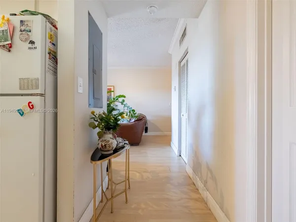 a room with a potted plant with a shower curtain