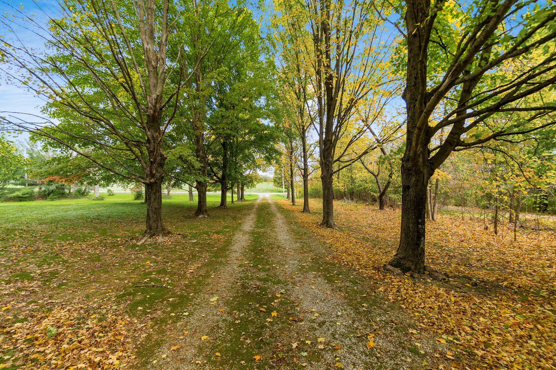 8712 Cheshire Road Sunbury, OH 43074 - Photo 32 of 40 Front Driveway