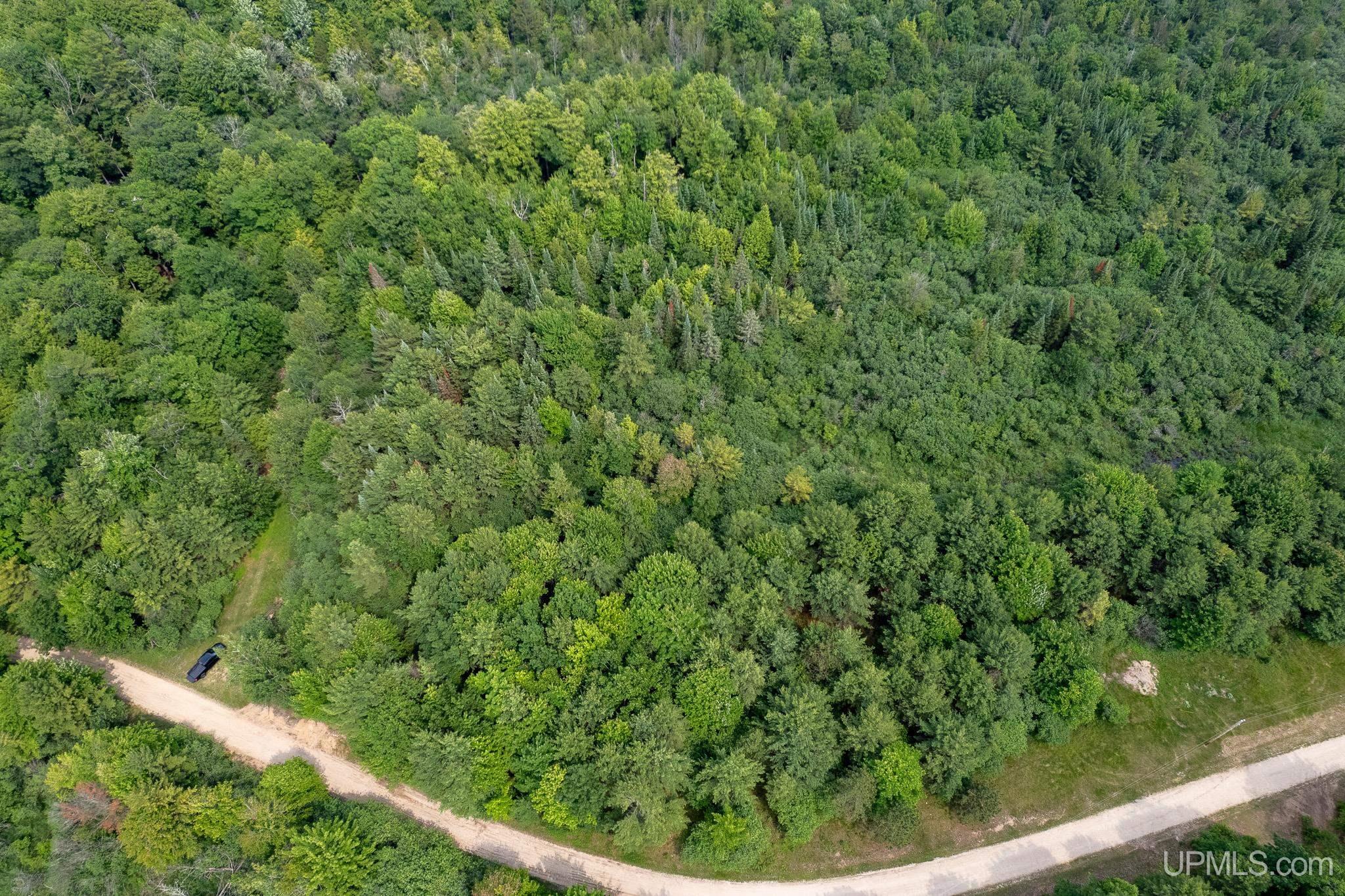 Tbd R 75 Lane Rapid River, MI 49878 - Photo 3 of 5