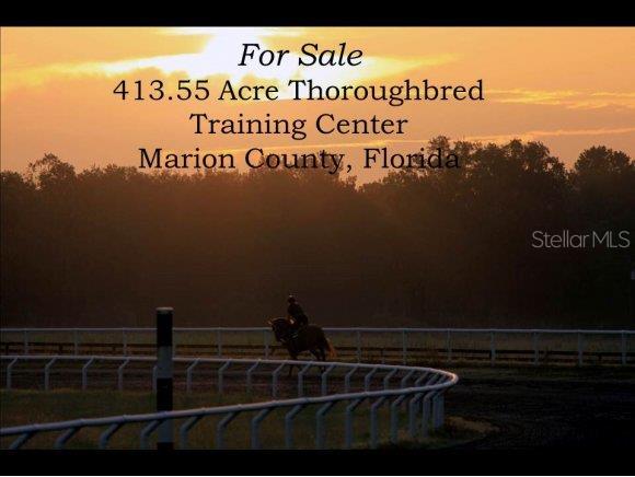 12520 Northwest 160th Street Reddick, FL 32686 - Photo 1 of 1 Primary Photo