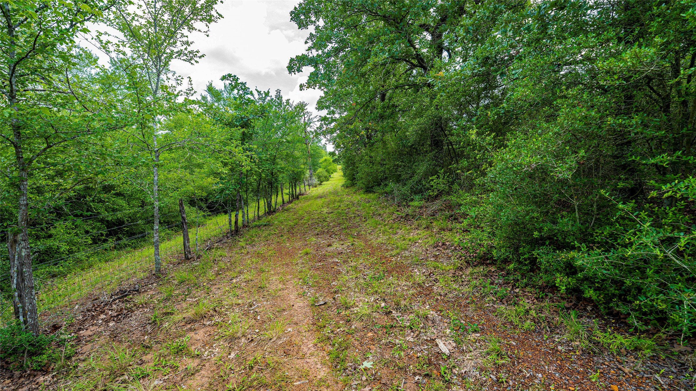 1470 22 Hills Road Gause, TX 77857 - Photo 32 of 35 A natural, untamed pathway cuts through a lush green landscape, offering serene views.