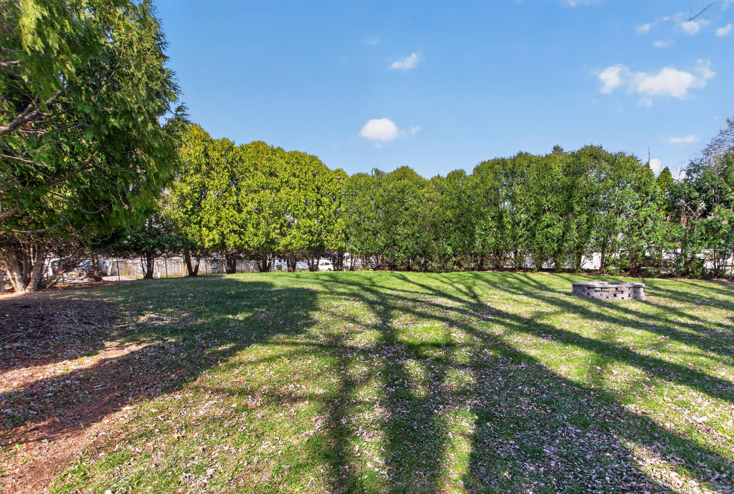 809 Grant Street Jackson, MI 49203 - Photo 2 of 49 0N0A8622