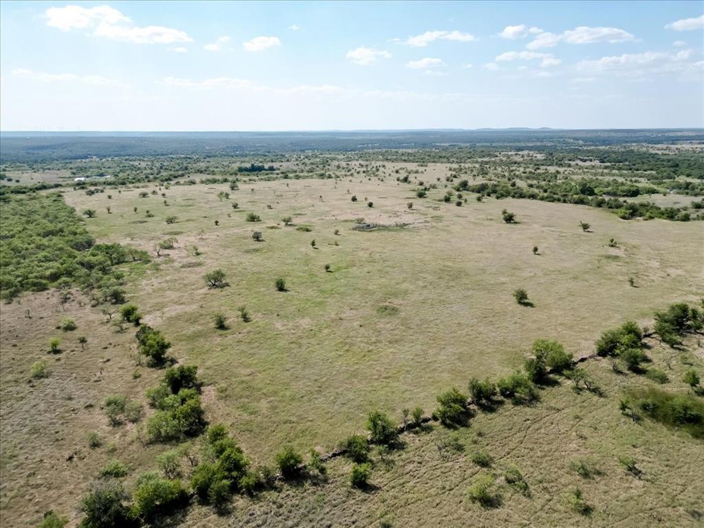 496-acres Nash Road Jacksboro, TX 76458 - Photo 20 of 28 Gallery Image 20