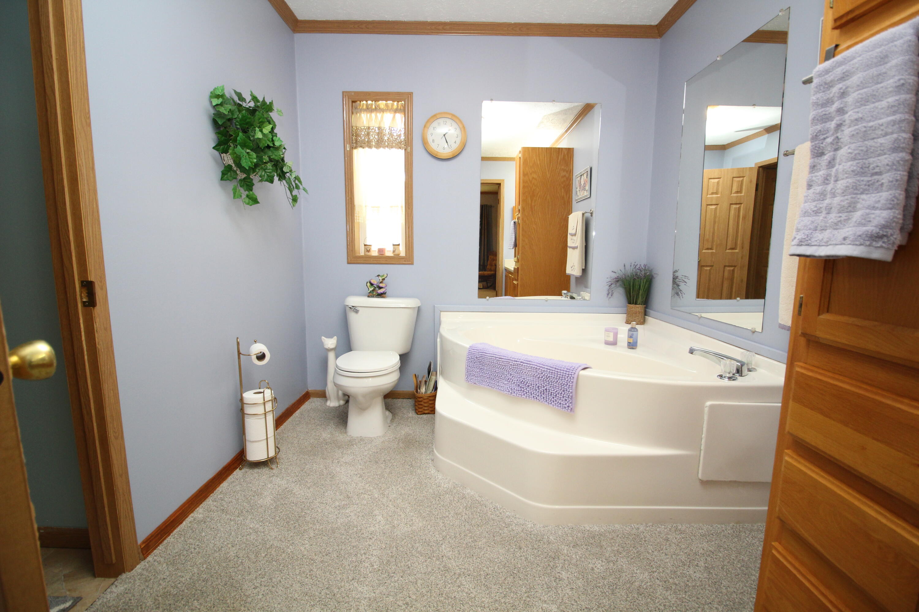 823 Raisin River Road Three Rivers, MI 49093 - Photo 32 of 38 IMG_0551