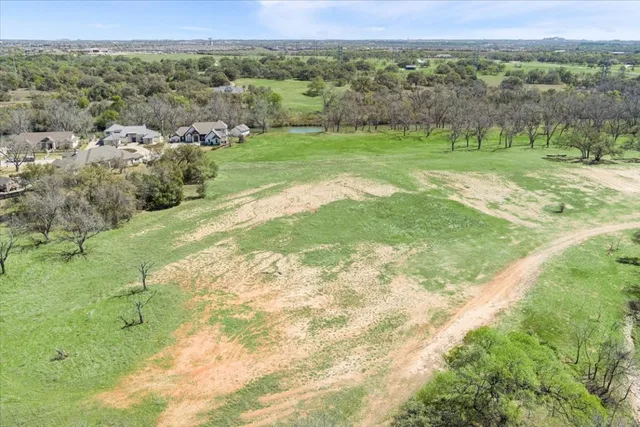 a close up of a plant