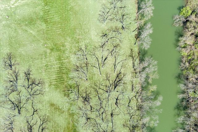 a view of lake with green space