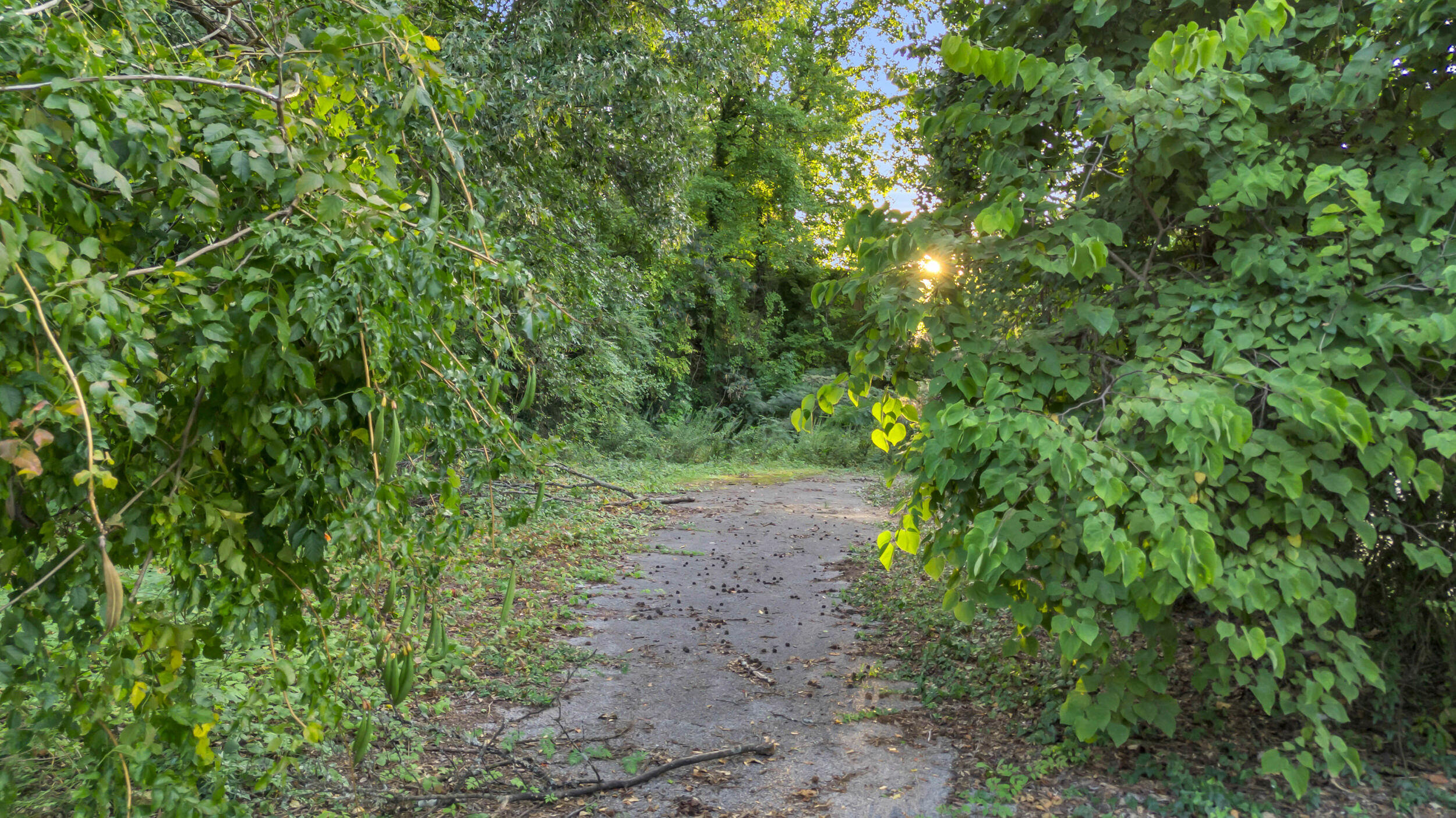 504 Spring Street Chattanooga, TN 37405 - Photo 12 of 18 11_504 spring st-11