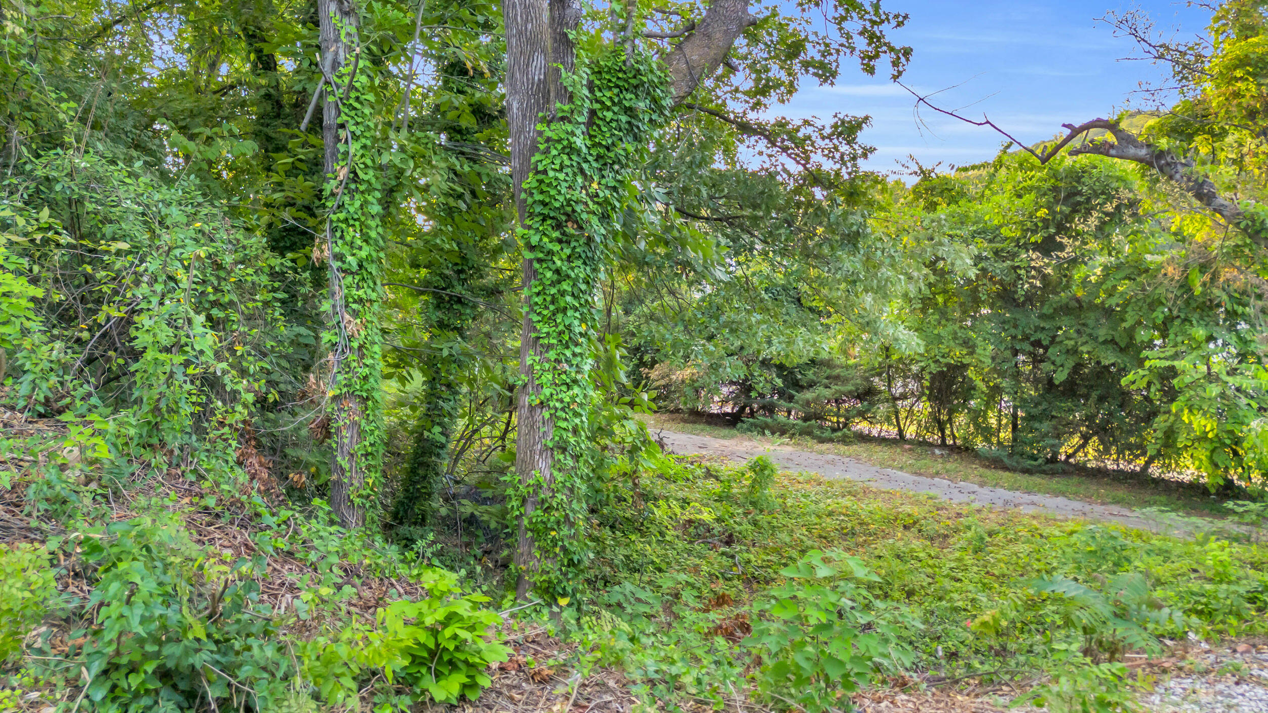 504 Spring Street Chattanooga, TN 37405 - Photo 13 of 18 12_504 spring st-12