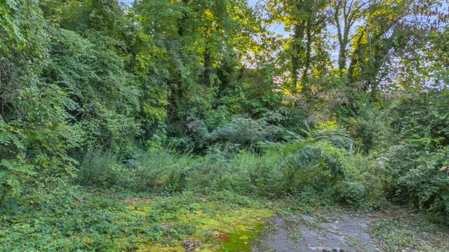 $575,000 | 504 Spring Street, Chattanooga, TN 37405