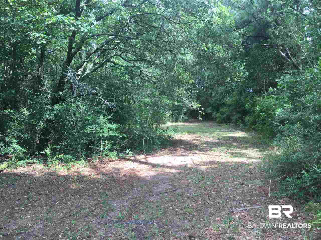 19350 County Road 87 Elberta, AL 36530 - Photo 2 of 4