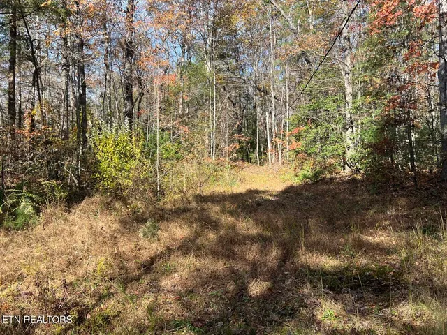 $340,000 | 523 Honey Creek Loop Road, Allardt, TN 38504