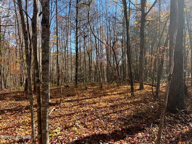 $340,000 | 523 Honey Creek Loop Road, Allardt, TN 38504