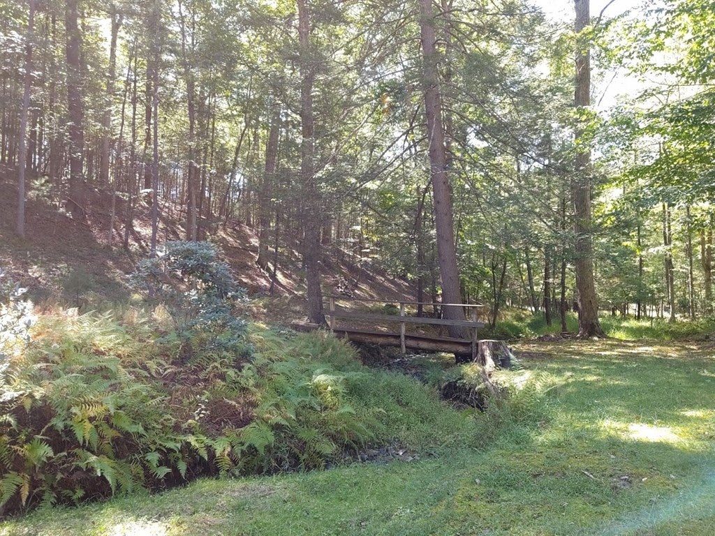 7763 Sunrise Camp Road Huntingdon, PA 16652 - Photo 19 of 21 Gallery Image 19