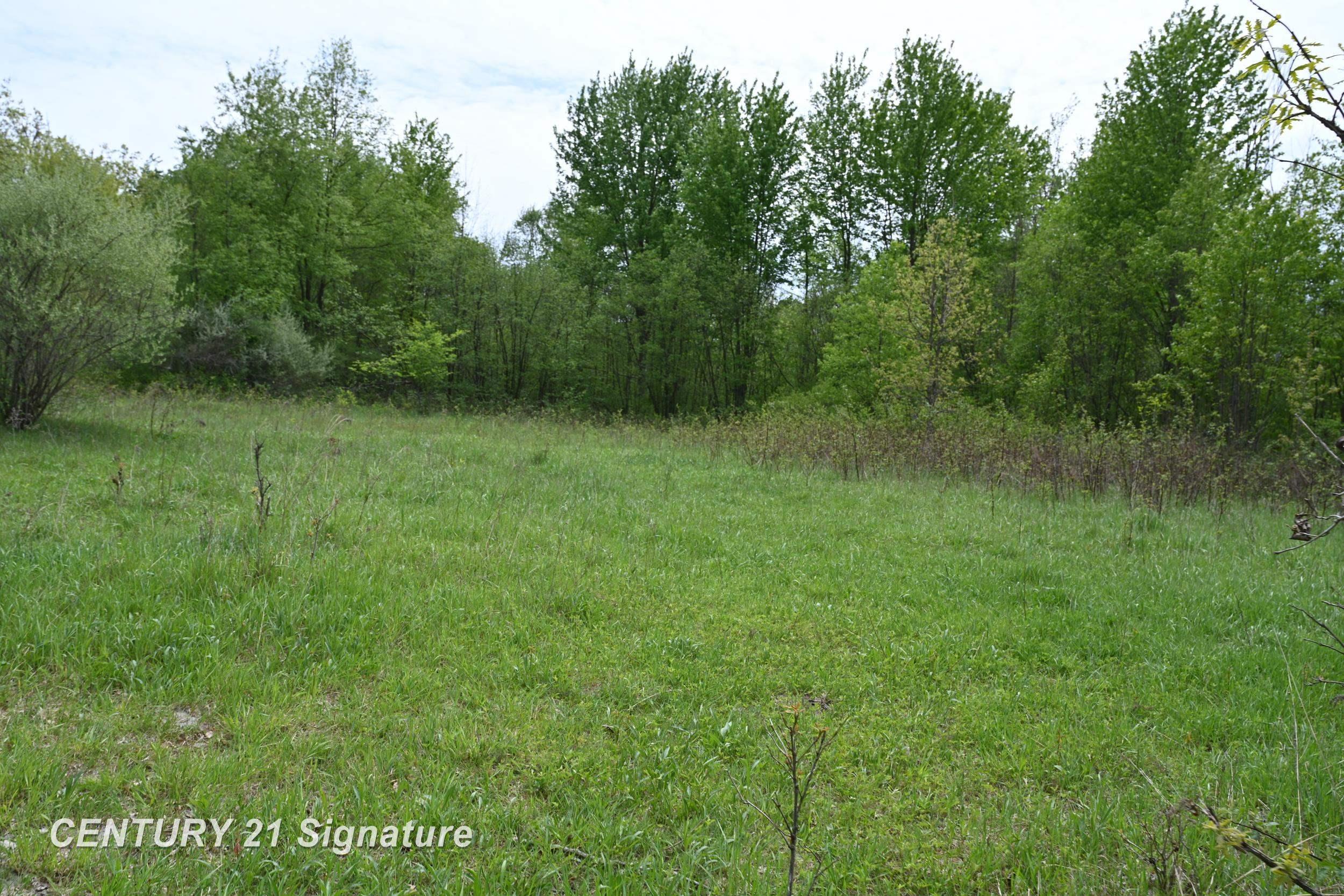 150 East Winegars Road Beaverton, MI 48612 - Photo 59 of 74