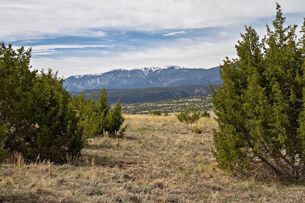Tbd Garrett Road Beulah, CO 81023 - Photo 1 of 42 Gallery Image 1