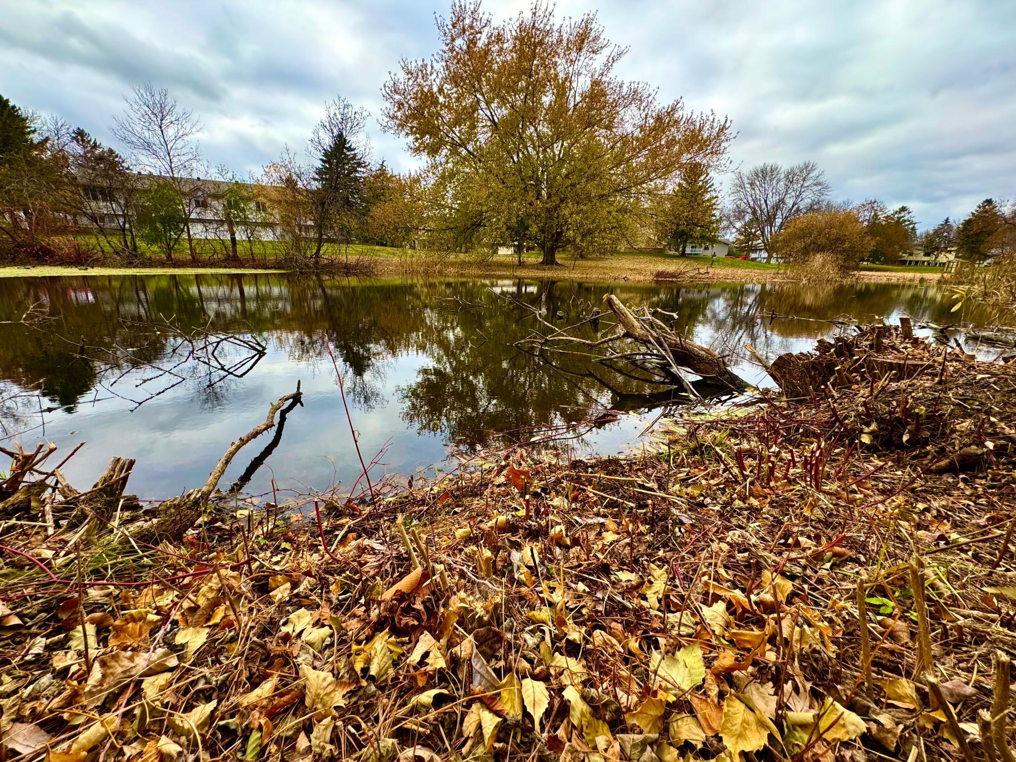 870 Sherwood Road Shoreview, MN 55126 - Photo 11 of 14