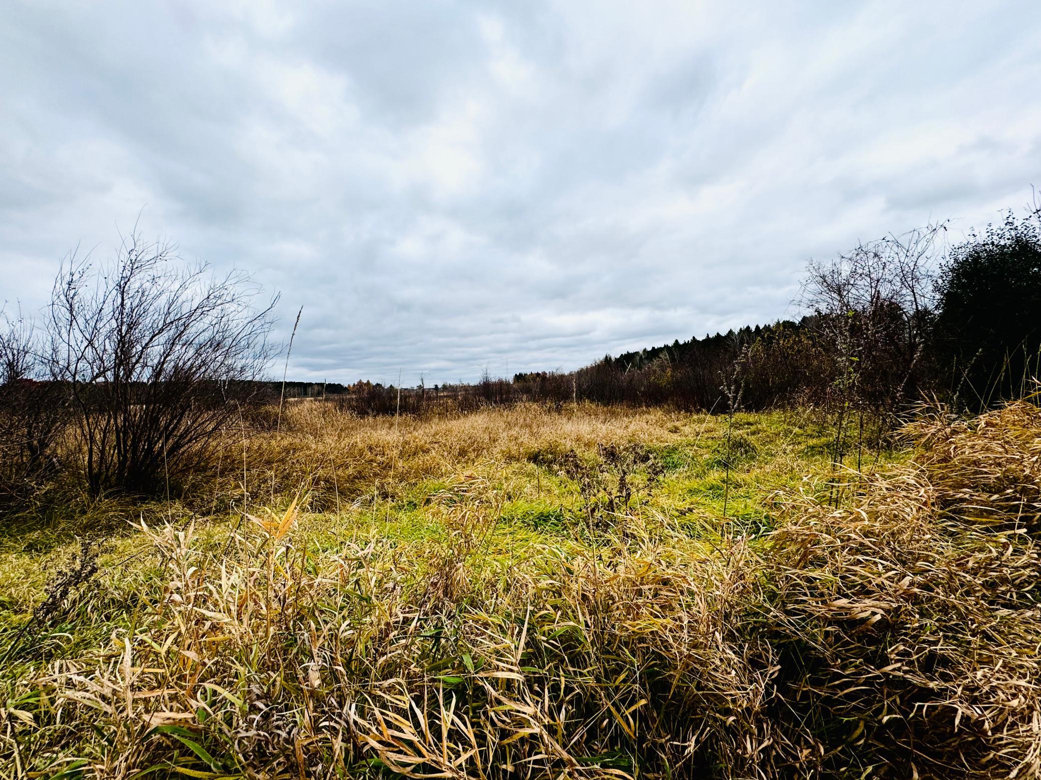 870 Sherwood Road Shoreview, MN 55126 - Photo 12 of 14