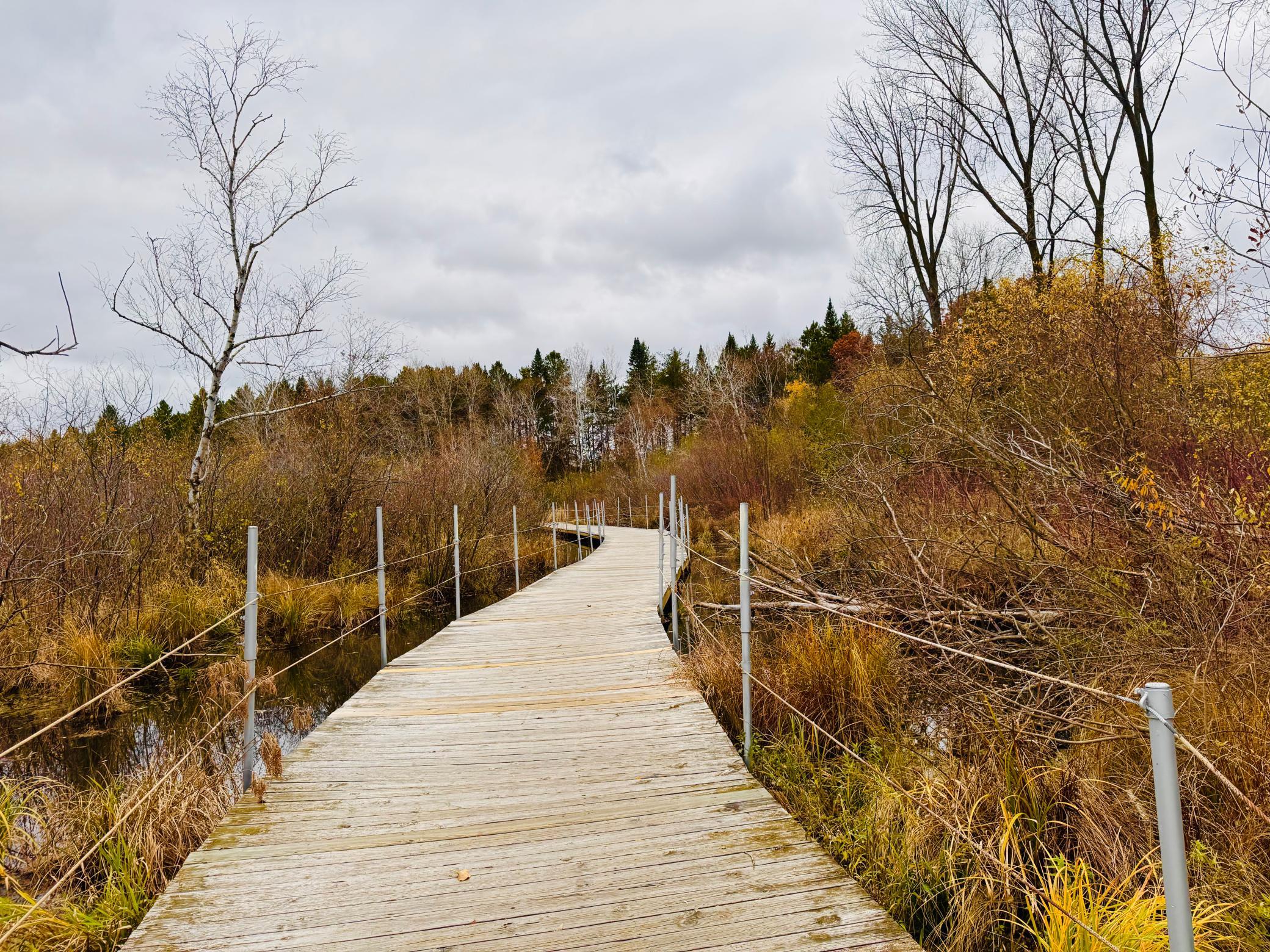 870 Sherwood Road Shoreview, MN 55126 - Photo 13 of 14