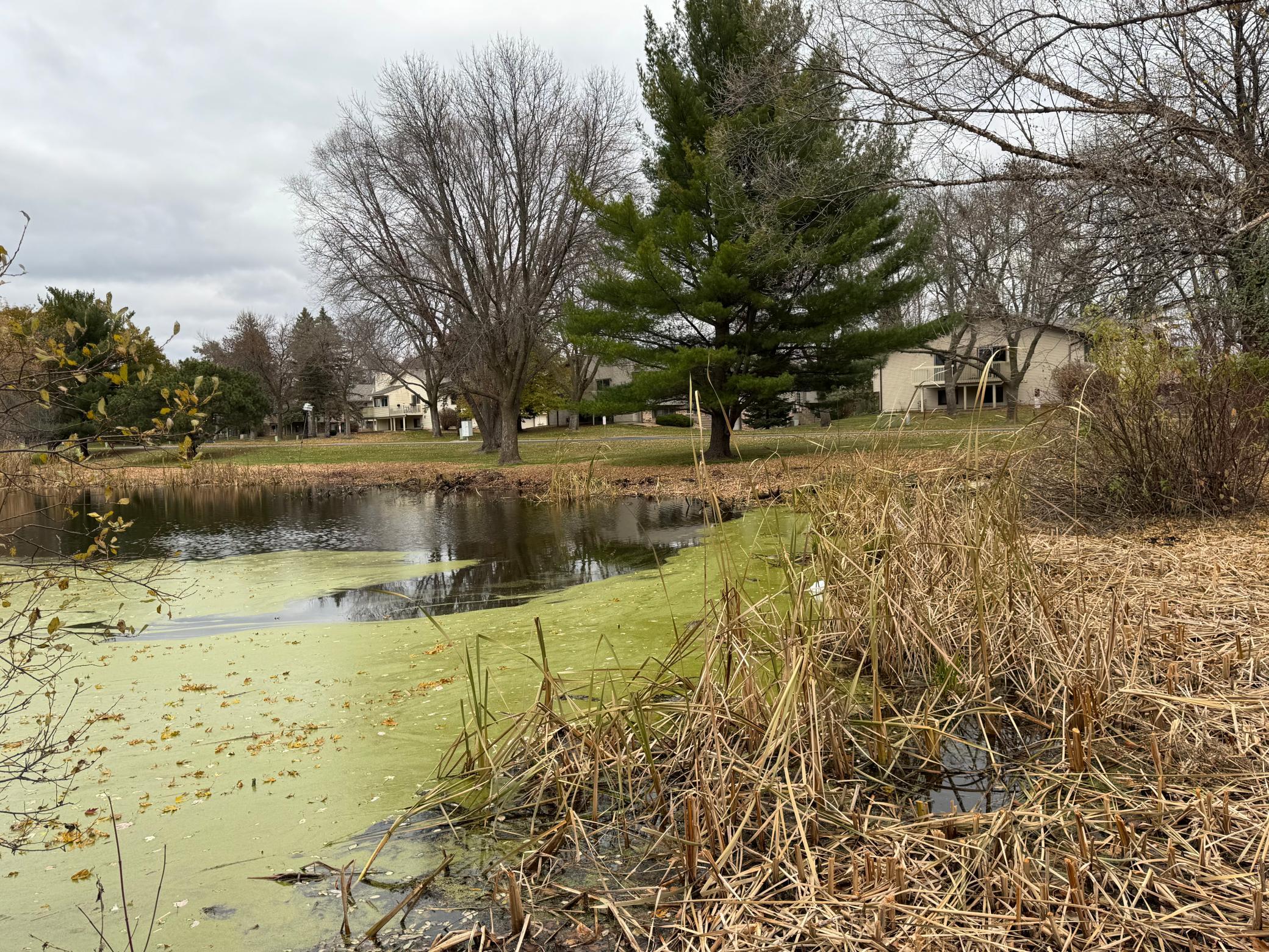 870 Sherwood Road Shoreview, MN 55126 - Photo 14 of 14