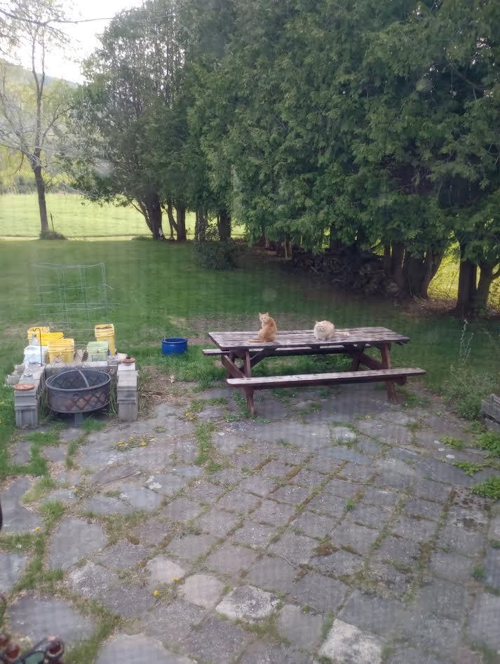 809 Highway 102 Canaan, VT 05903 - Photo 19 of 22