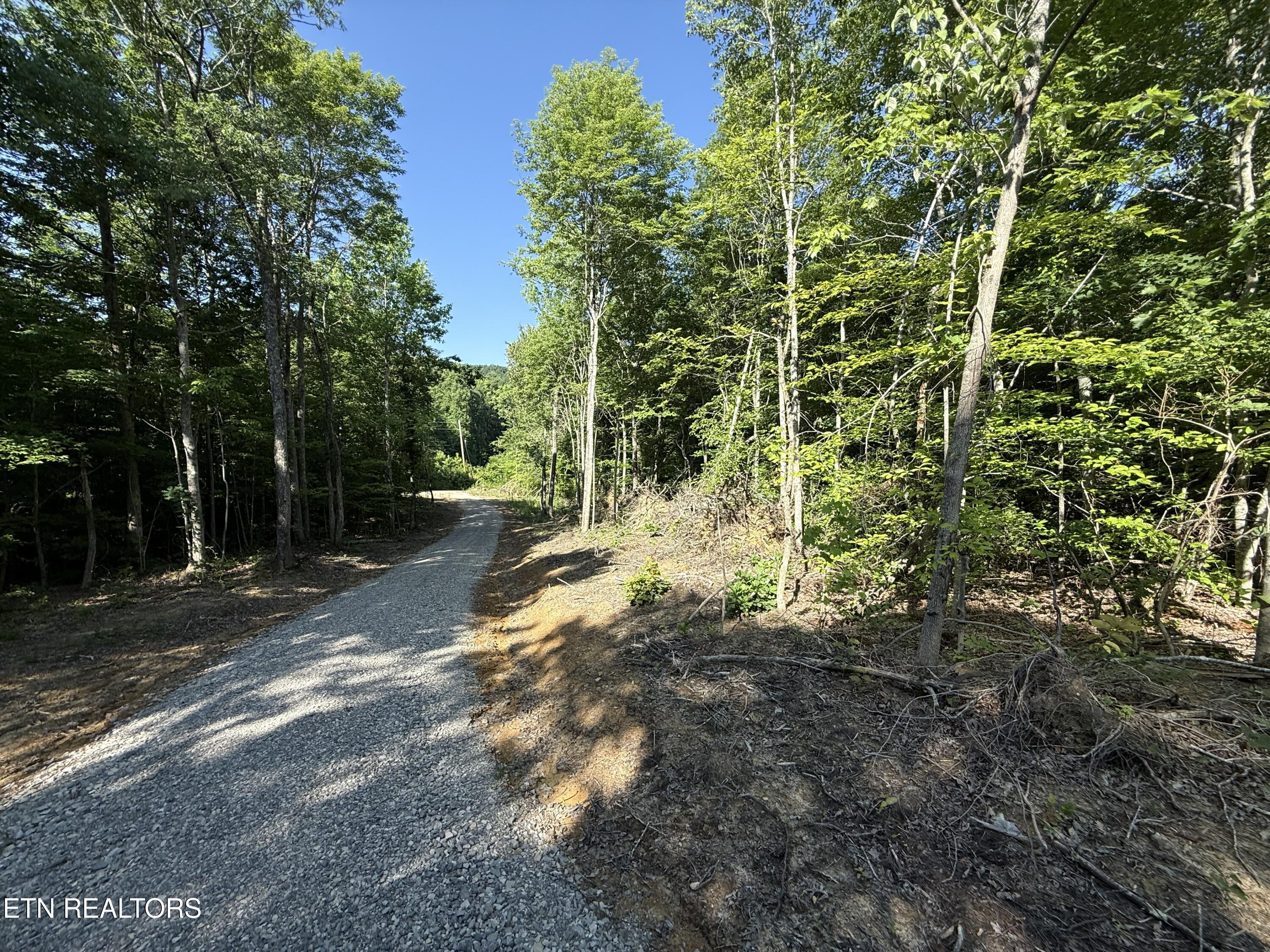 969 Lewallen Road Sunbright, TN 37872 - Photo 15 of 21 IMG_4310