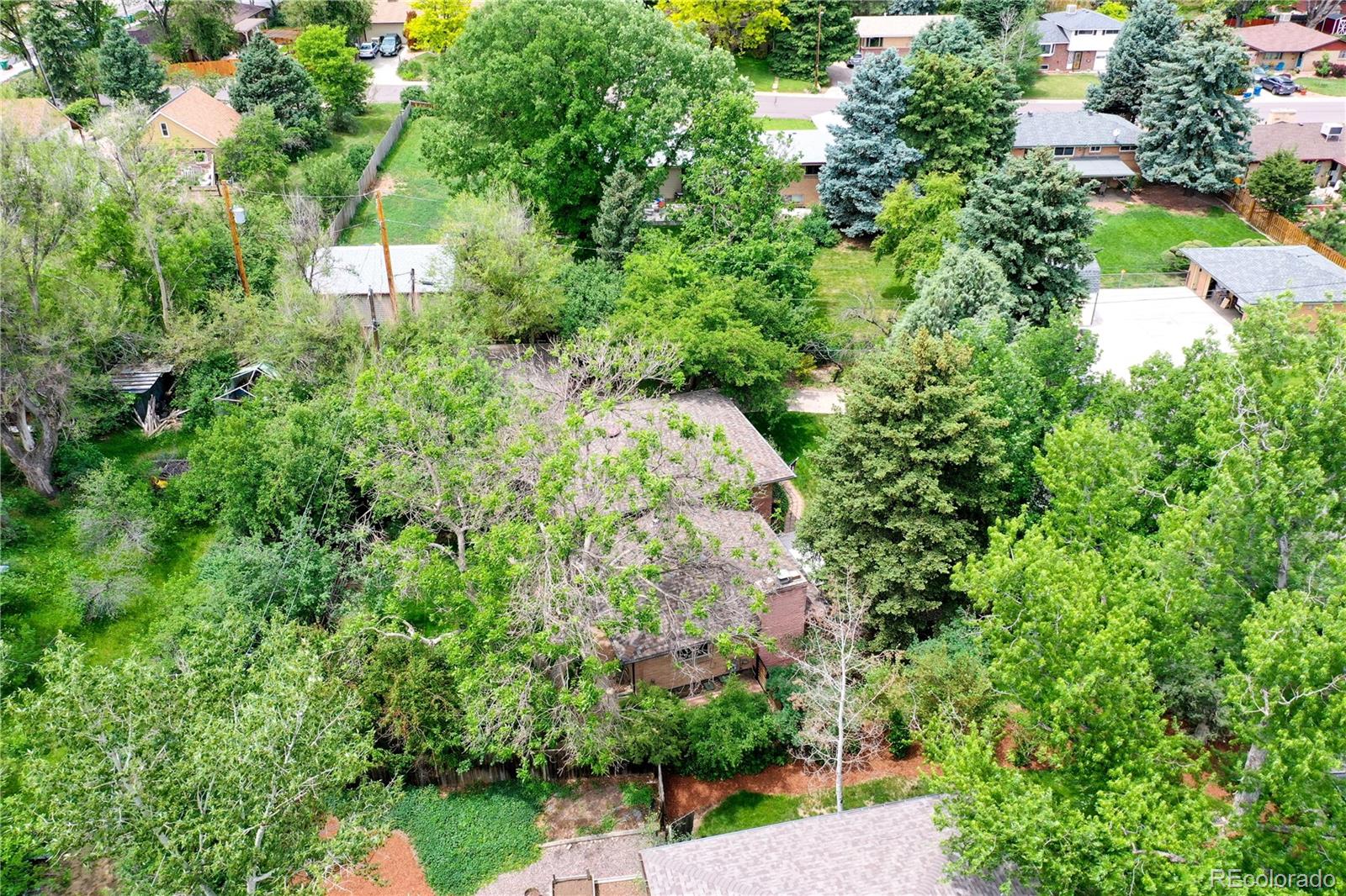 6190 West 29th Place Wheat Ridge, CO 80214 - Photo 4 of 27 Gallery Image 4