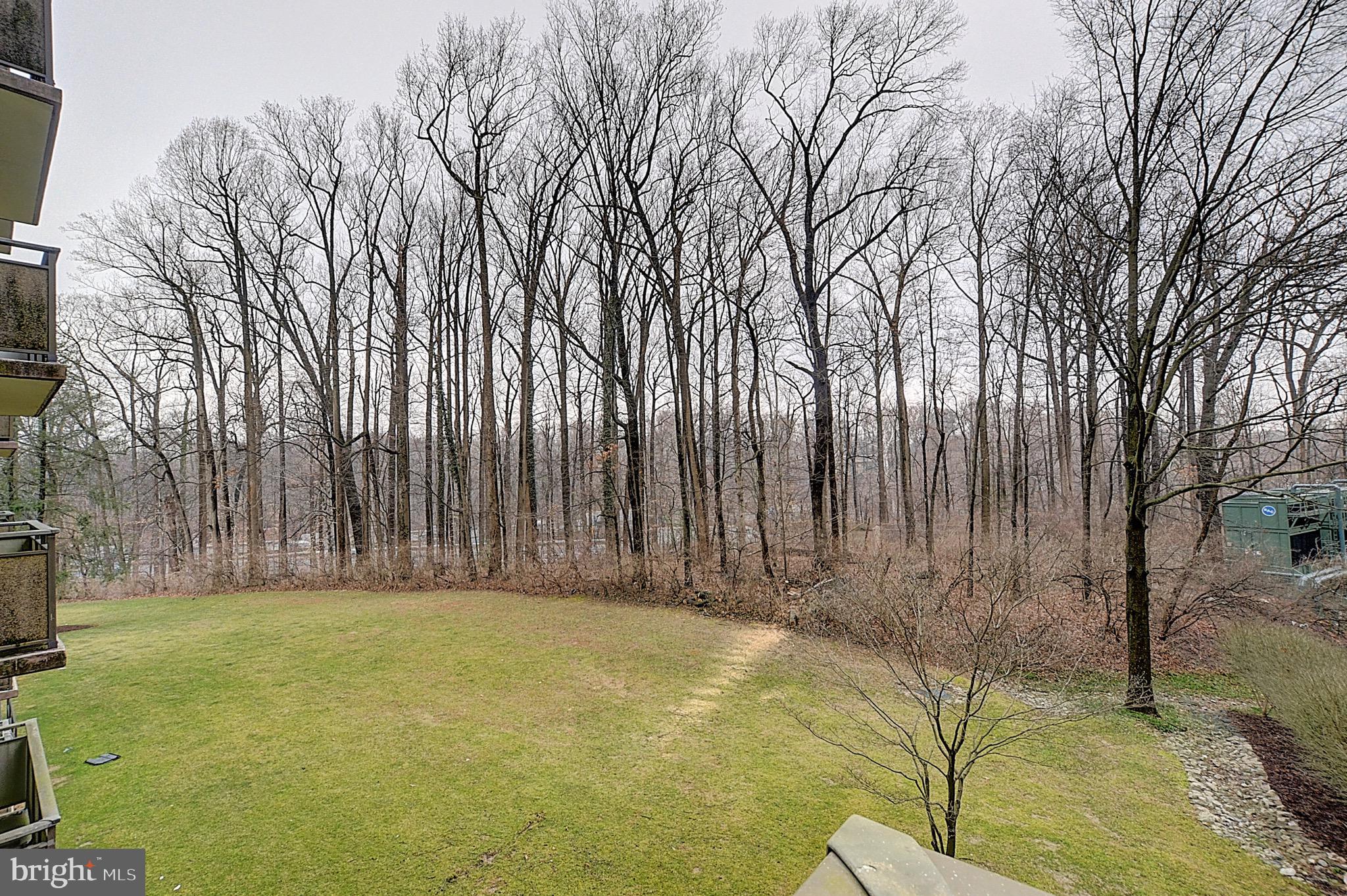 5225 Pooks Hill Road, Unit 308N Bethesda, MD 20814 - Photo 20 of 41