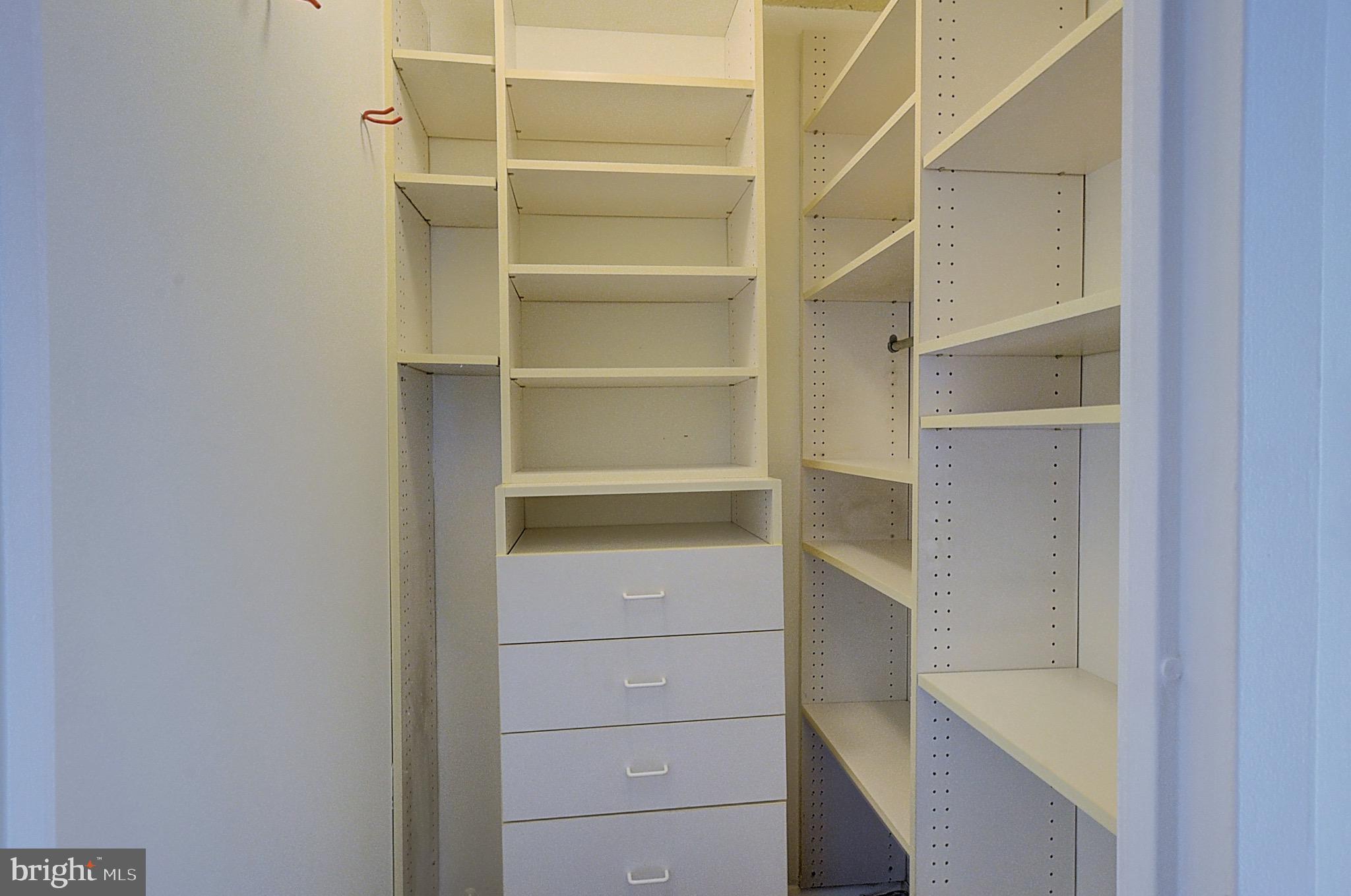 5225 Pooks Hill Road, Unit 308N Bethesda, MD 20814 - Photo 7 of 41 a view of walk in closet with empty racks