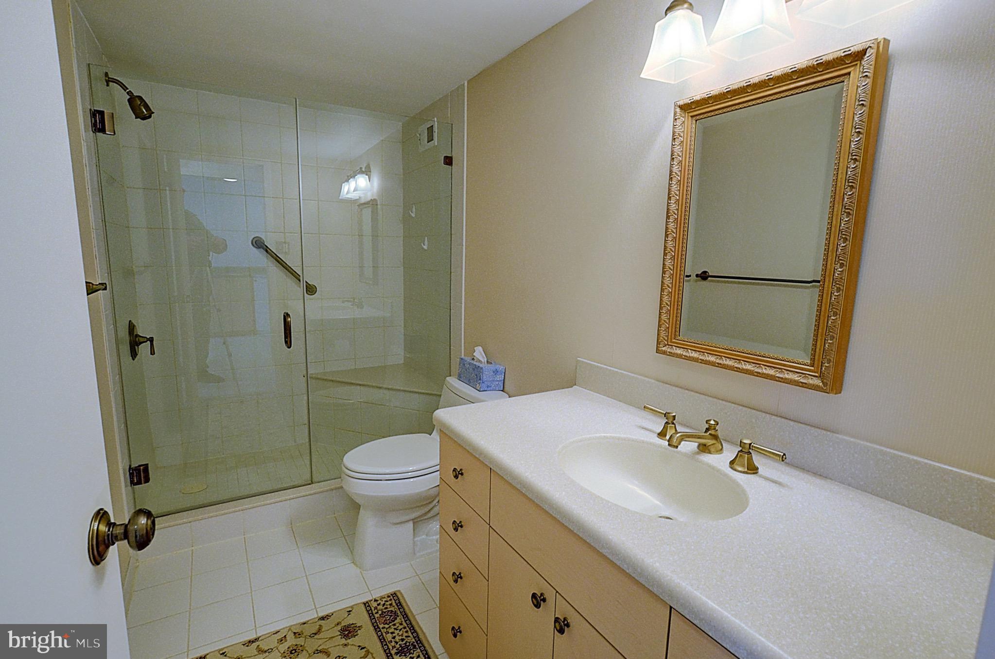 5225 Pooks Hill Road, Unit 308N Bethesda, MD 20814 - Photo 9 of 41 a bathroom with a sink toilet and shower